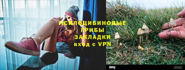 амф Арсеньев