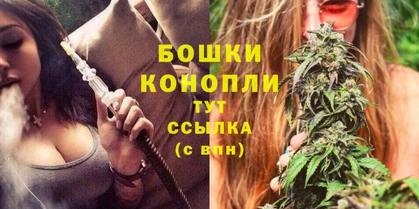 амф Арсеньев