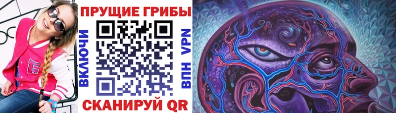купить наркотик  Ипатово  Псилоцибиновые грибы Magic Shrooms 